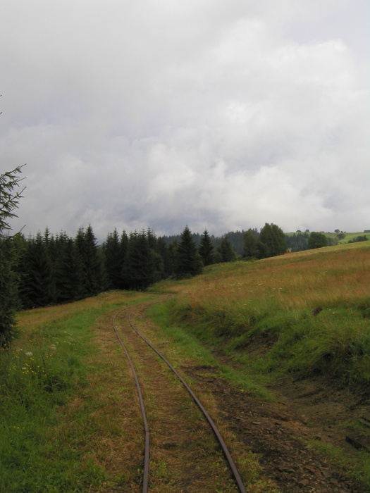 Kouzlo lesní železnice